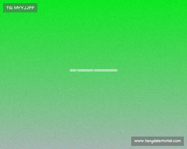 英雄联盟S赛外卡赛区崛起新势力 激烈竞争预示未来可能的黑马诞生 英雄联盟S赛外卡赛区崛起新势力 激烈竞争预示未来可能的黑马诞生