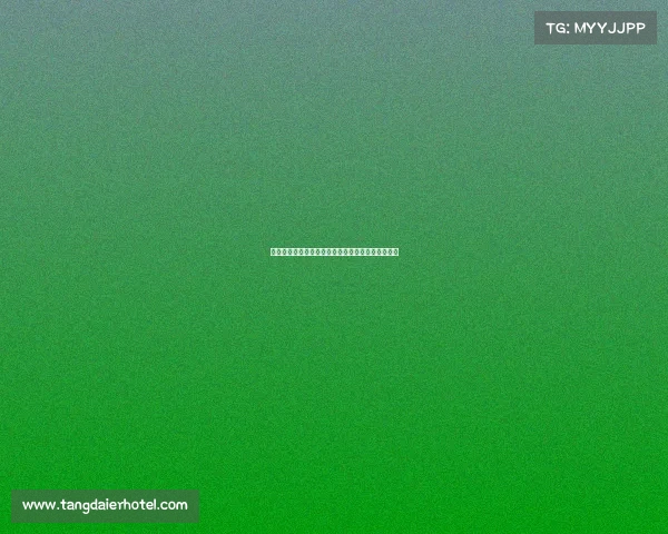 阿森纳两位法国名宿除哲凯赖什外的传奇人物与贡献