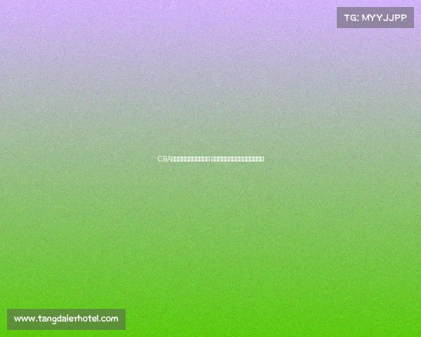 CBA啦啦队风采展现青春活力 助力赛场激情燃烧引领潮流新风尚