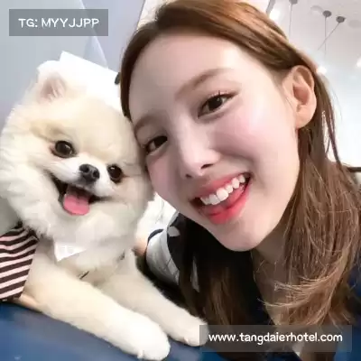 司思锴